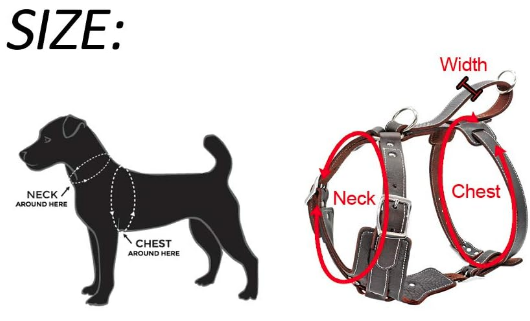 Pure Leather Leash, Harness, and Collar Set